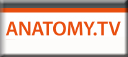 anatomy.tv-new